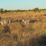 Photo taken by Chris K