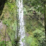 Photo taken by Sangini S