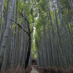 Photo taken by Rich W