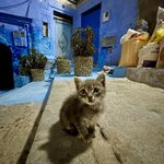 Photo taken by Kristen Y