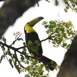 Photo taken by Graeme W