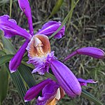 Photo taken by Kristin T