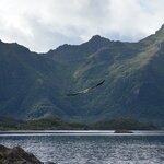 Photo taken by paolo c