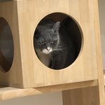 Cat cafe | Photo taken by Linda O