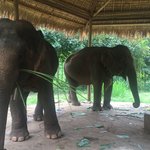 Feeding time | Photo taken by Rachael W