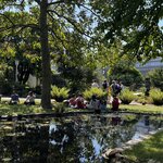 Photo taken by Martin D