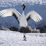 Photo taken by Iain M