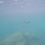 Photo taken by Jennifer Z