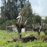 Photo taken by Tracy A