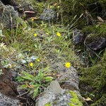 Photo taken by Gary B