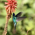 Photo taken by Peter F