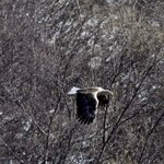 Photo taken by Marsha W