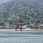 Photo taken by PADMABEN P