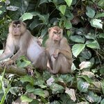 Photo taken by Edit M