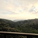 Photo taken by Khaled S