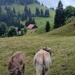 Photo taken by Jennifer S