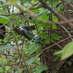 Photo taken by Jacob S