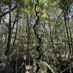 Photo taken by Edit M