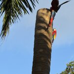 Photo taken by SANTHI S