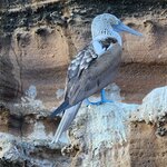 Photo taken by Lee B