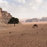 Photo taken by Becky D