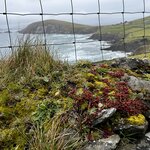 Photo taken by Laura F