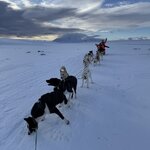 Photo taken by Lisa T