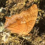 Photo taken by Mariah C