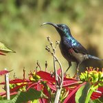 Photo taken by Graham D