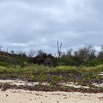 Photo taken by Jennifer A