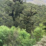 Photo taken by Dan U