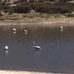 Photo taken by Eric H