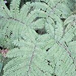 Photo taken by Jennifer G