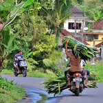 Photo taken by Laurence S