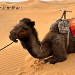 Photo taken by Thomas R