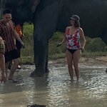 Photo taken by Shannon H