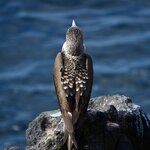 Photo taken by Joseph P