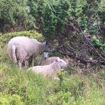 Photo taken by Michelle C