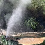 Photo taken by Tamara C