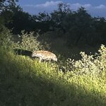 Photo taken by Michael Z