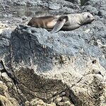 Photo taken by Nick M