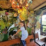 Photo taken by Melissa C