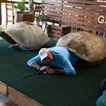 Photo taken by mindy n