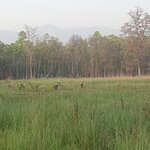 Photo taken by Jane G