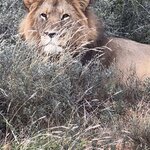 Photo taken by Martin D