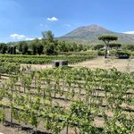 Photo taken by Kimberly E