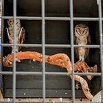 Photo taken by Daniel S