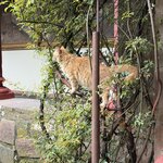 Photo taken by Alyssa R