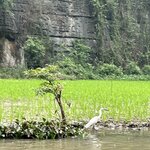 Photo taken by Susan R