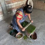 Photo taken by Julie S